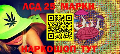 индика Пенза