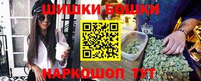 индика Пенза