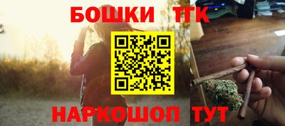 индика Пенза