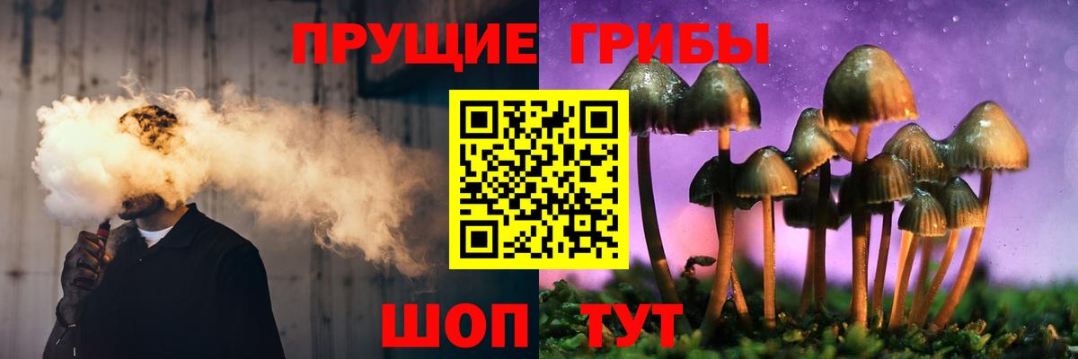 Галлюциногенные грибы мухоморы Барнаул