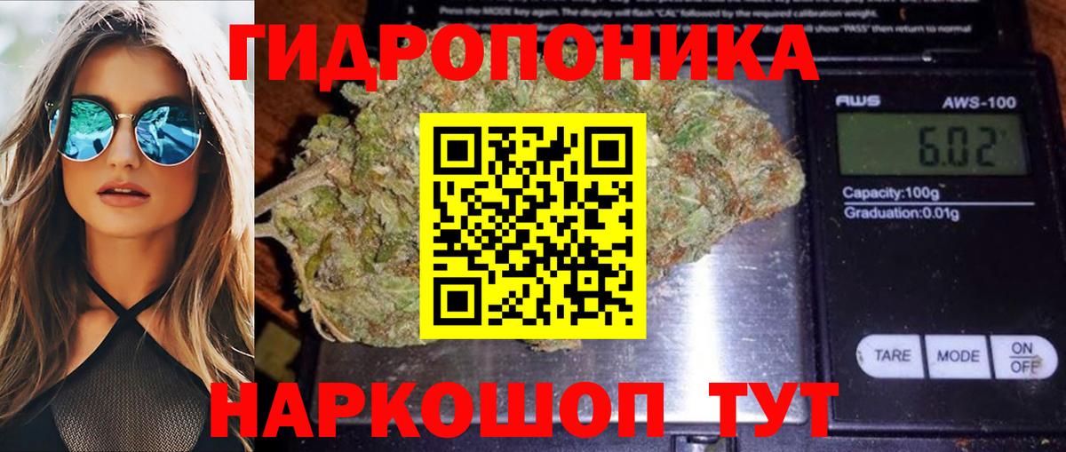 Канабис план Барнаул
